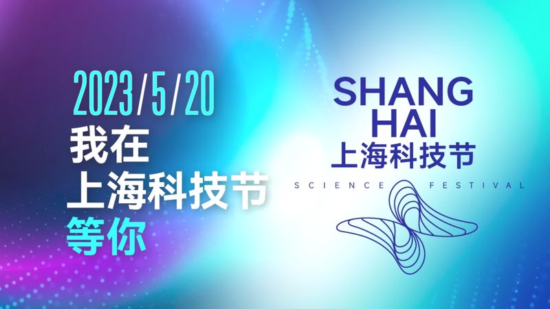 Java技术外包公司排名：揭秘行业选择之道
